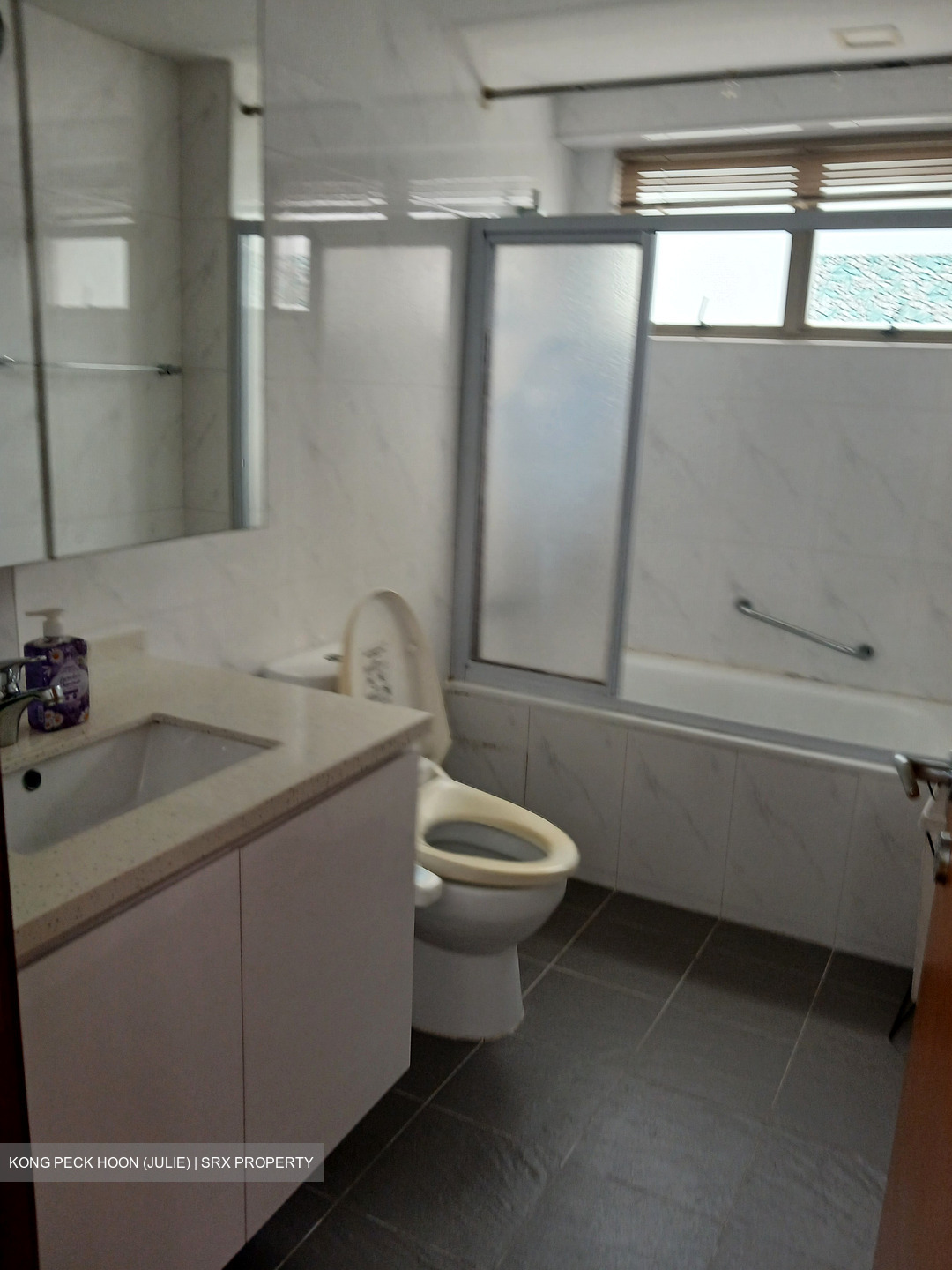 Pasir Panjang Road (D5), Condominium #562903861